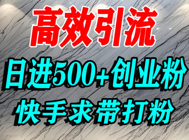 图片[1]-怎么打创业粉？快手求带视角精准引流创业粉，宝妈、学生群体日进500+精准流量——生财有道创业项目网-生财有道