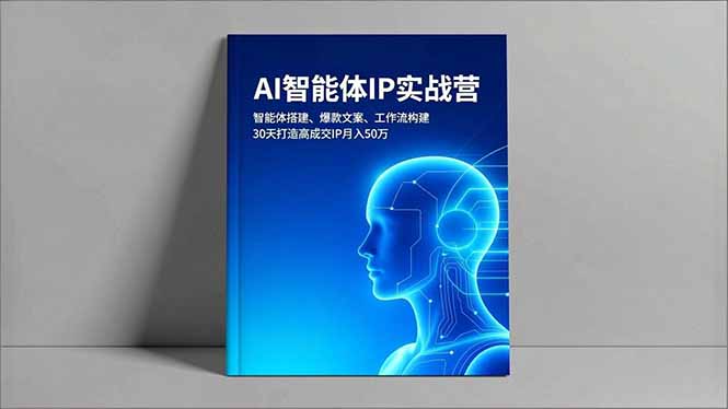 （16689期）AI智能体IP实战营，智能体搭建、爆款文案、工作流构建，30天打造高成交IP月入50万_生财有道创业项目网