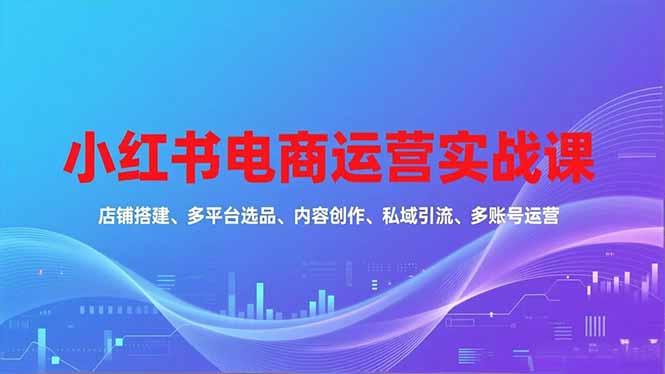 （16695期）小红书电商运营实战课，店铺搭建、多平台选品、内容创作、私域引流、多账号运营等玩法_生财有道创业项目网