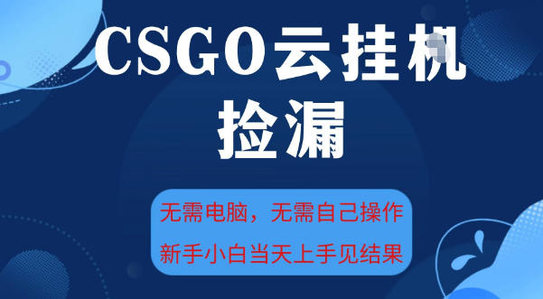 CSGO云挂G全自动捡漏，最新独家玩法，无需电脑操作，新手小白日入5张+【揭秘】——生财有道创业项目网