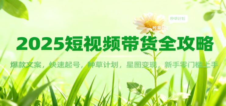 2025短视频带货全攻略：爆款文案，快速起号，种草计划，星图变现，新手零门槛上手_生财有道创业网