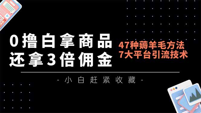 （16780期）0撸白拿商品，还拿3倍佣金，47种薅羊毛方法，7大平台全方位引流技术教学，精专月入过万_生财有道创业项目网