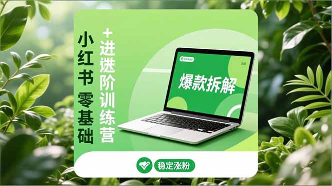 （16801期）小红书零基础+高阶训练营：安全养号、爆款拆解、长效运营，实现稳定涨粉与变现_生财有道创业项目网