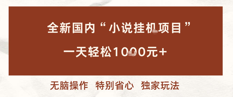 图片[1]-全新国内小说挂G项目，多窗口无脑跑，一天轻松1k+，特别省心【揭秘】——生财有道创业项目网-生财有道