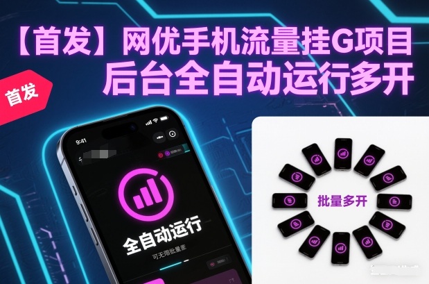 【首发】网优手机流量挂G项目，后台全自动运行，可无限批量多开【揭秘】——生财有道创业项目网