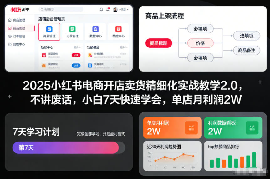 图片[1]-2025小红书电商开店卖货精细化实战教学2.0，不讲废话，小白7天快速学会，单店月利润2W——生财有道创业项目网-生财有道