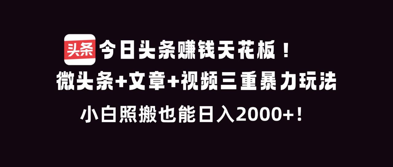 图片[1]-（16888期）今日头条赚钱天花板！微头条+文章+视频三重暴利玩法，小白照搬也能日人2000+_生财有道创业项目网-生财有道