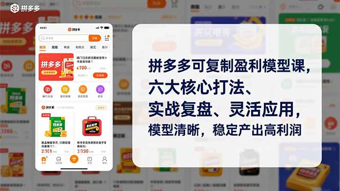 （16952期）拼多多可复制盈利模型课，六大核心打法、实战复盘、灵活应用，模型清晰，稳定产出高利润_生财有道创业项目网