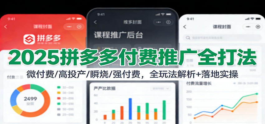 图片[1]-2025拼多多付费推广全打法：微付费/高投产/瞬烧/强付费，全玩法解析+落地实操_生财有道创业网-生财有道