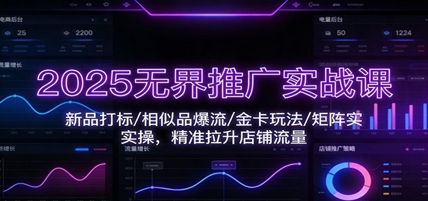图片[1]-2025无界推广实战课：新品打标/相似品爆流/金卡玩法/矩阵实操，精准拉升店铺流量_生财有道创业网-生财有道