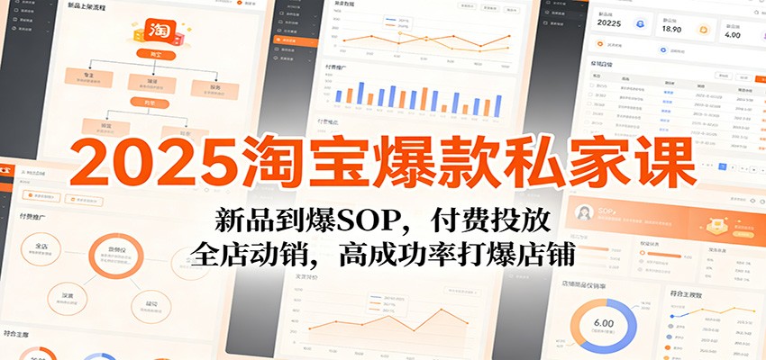 图片[1]-2025淘宝爆款私家课：新品到爆SOP，付费投放，全店动销，高成功率打爆店铺_生财有道创业网-生财有道
