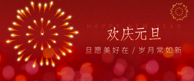 每年新年必火的红利项目，视频号祝福类视频玩法，多种变现月入万元！_生财有道创业网