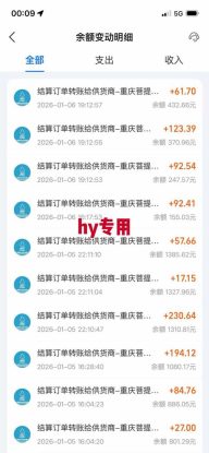 （17054期）多款游戏搬砖全自动变现项目，日入千元，独家技术，可矩阵，长期稳定！_生财有道创业项目网
