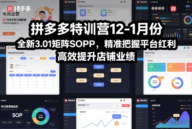 拼多多特训营12-1月份，全新3.01矩阵Sop，精准把握平台红利，高效提升店铺业绩——生财有道创业项目网