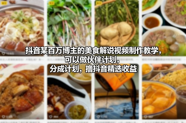 图片[1]-抖音某百万博主的美食解说视频制作教学，可以做伙伴计划，分成计划，撸抖音精选收益——生财有道创业项目网-生财有道