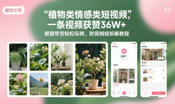植物类情感类短视频，一条视频获赞36W+，橱窗带货轻松玩转，附保姆级拆解教程——生财有道创业项目网