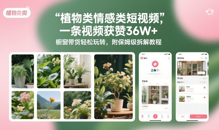 图片[1]-植物类情感类短视频，一条视频获赞36W+，橱窗带货轻松玩转，附保姆级拆解教程——生财有道创业项目网-生财有道