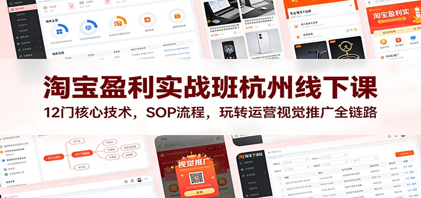 图片[1]-淘宝盈利实战班杭州线下课：12门核心技术，SOP 流程，玩转运营视觉推广全链路_生财有道创业网-生财有道