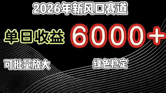 （17135期）2026年新风口赛道，当日6000+以上，可批量放大，月收入20万+，长期绿色稳定的项目_生财有道创业项目网