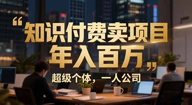 （17134期）从0到年入百万：超级个体实战心得公开，个人IP×精准引流×成交系统全拆解_生财有道创业项目网
