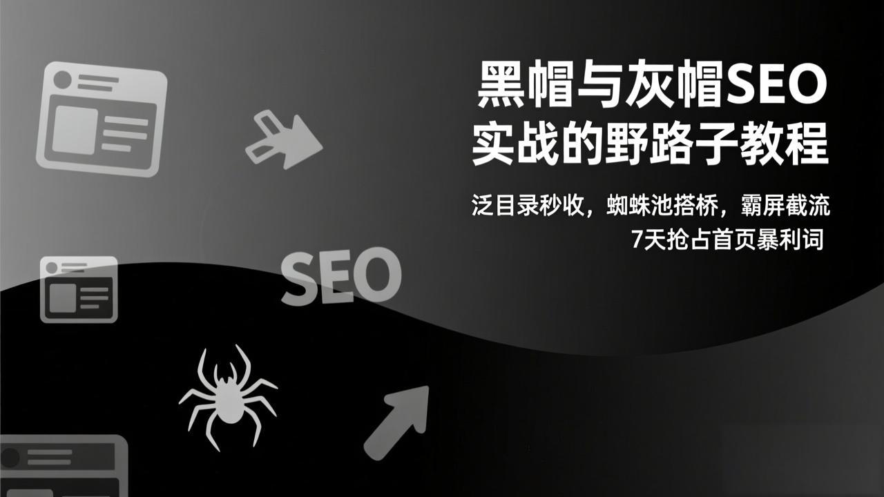 图片[1]-（17125期）黑帽与灰帽SEO实战的野路子教程：泛目录秒收，蜘蛛池搭桥，霸屏截流，7天抢占首页暴利词_生财有道创业项目网-生财有道