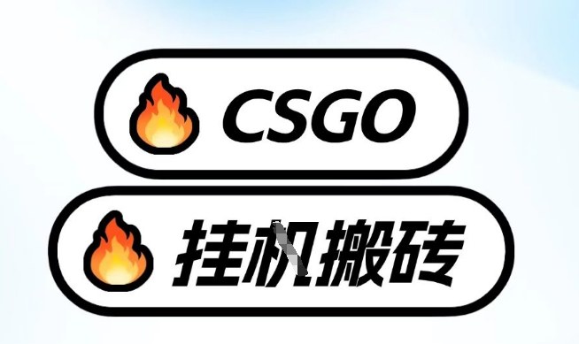 真全网独家CSGO挂G，最新玩法,单日捡漏1K+，不用电脑，不用打游戏【揭秘】——生财有道创业项目网