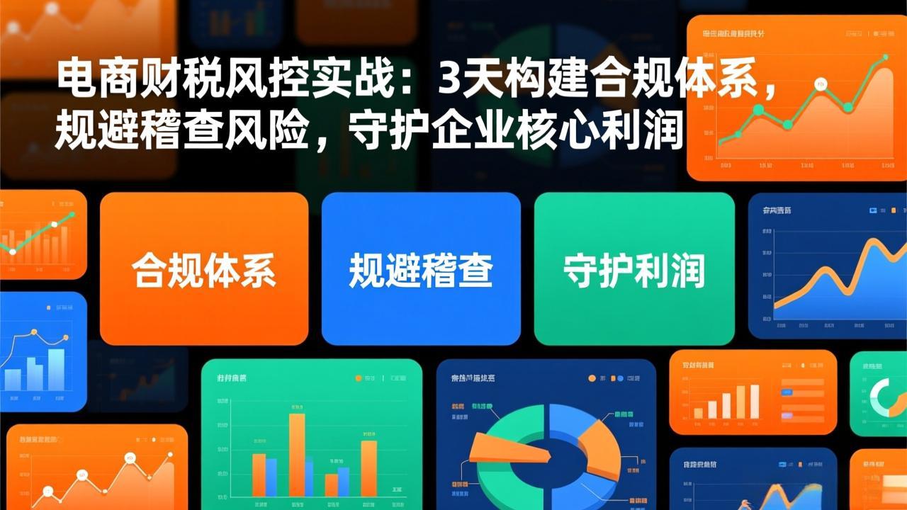 图片[1]-（17197期）电商财税风控实战：3天构建合规体系，规避稽查风险，守护企业核心利润_生财有道创业项目网-生财有道