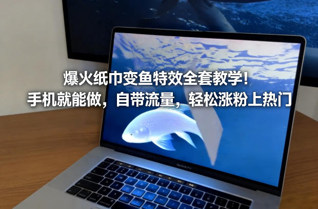 爆火纸巾变鱼特效全套教学！手机就能做，自带流量，轻松涨粉上热门——生财有道创业项目网