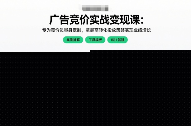 广告竞价实战变现课：专为竞价员量身定制，掌握高转化投放策略实现业绩增长（更新）——生财有道创业项目网