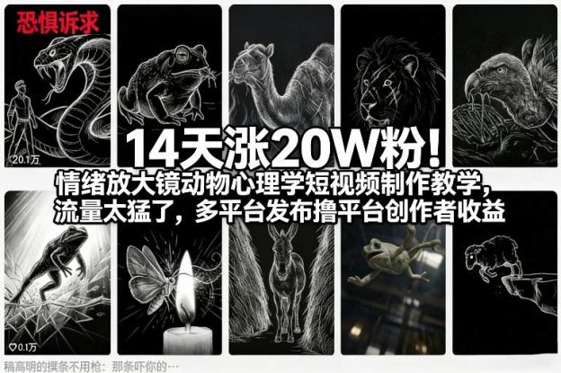 14天涨20W粉！情绪放大镜动物心理学短视频制作教学，流量太猛了，多平台发布撸平台创作者收益——生财有道创业项目网