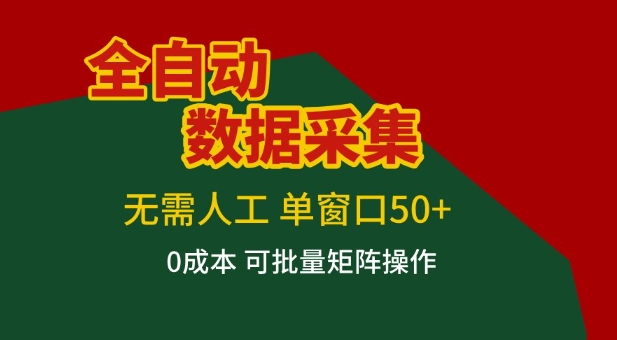 全自动数据采集项目，无需人工，单窗口可达50+收益，操作简单无难度，一个人也能轻松实现矩阵【揭秘】——生财有道创业项目网