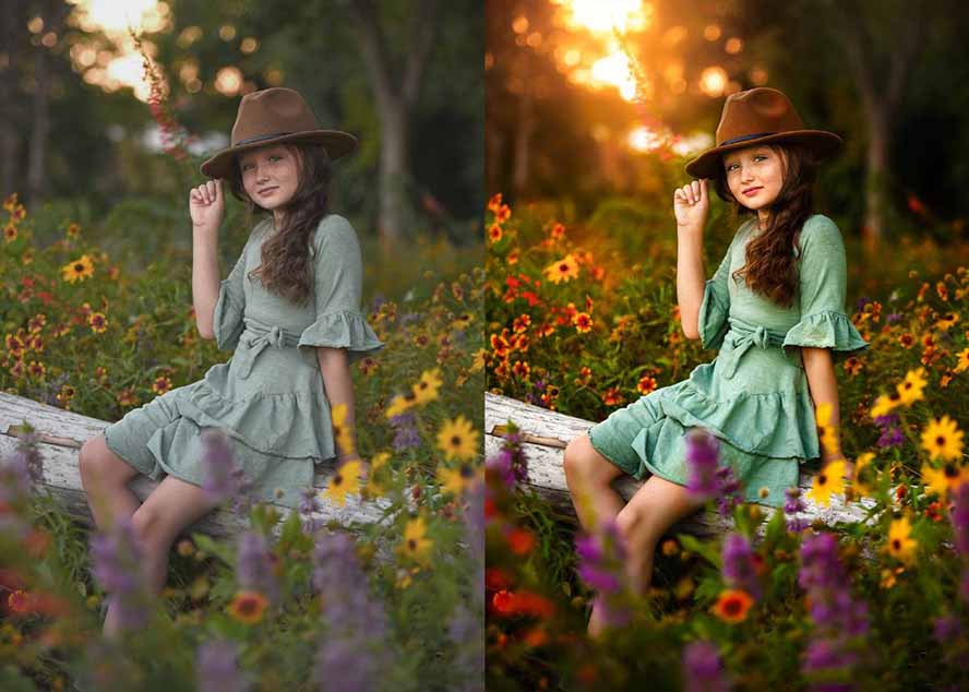 图片[11]-（17403期）大师级GTG出品-老友记系列AI自适应预设The Friends Preset Collection_生财有道创业项目网-生财有道