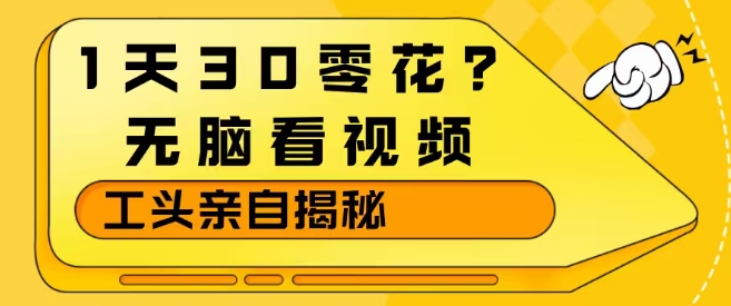 1天30零花？无脑看视频，大佬亲自揭秘——生财有道创业项目网
