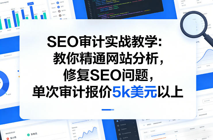图片[1]-SEO审计实战教学：教你精通网站分析，修复SEO问题，单次审计报价5k美元以上——生财有道创业项目网-生财有道