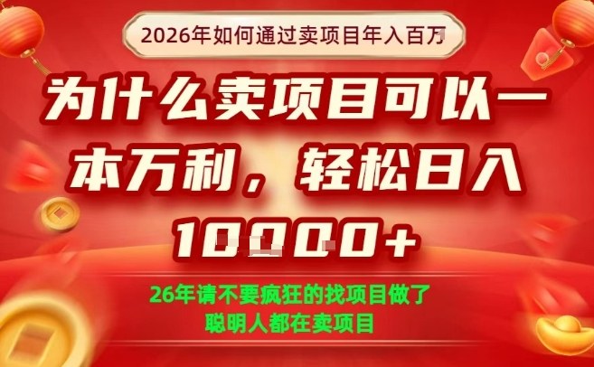 一单净利润1K+，26年想年入100个W，死磕卖项目就够了【揭秘】——生财有道创业项目网