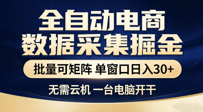 全自动电商数据集掘金，批量可矩阵，单窗口日入30+，无需云机，一台电脑开干【揭秘】——生财有道创业项目网