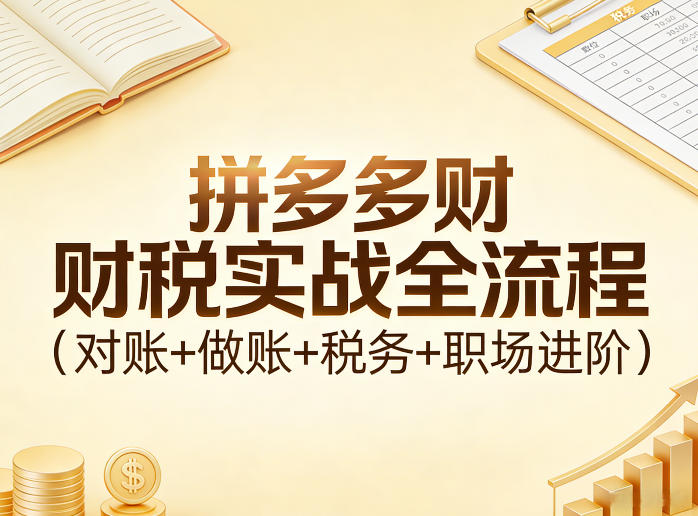 图片[1]-拼多多财税实战全流程（对账+做账+税务+职场进阶）——生财有道创业项目网-生财有道