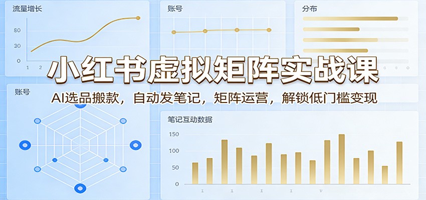 图片[1]-小红书虚拟矩阵实战课：AI选品搬款，自动发笔记，矩阵运营，解锁低门槛变现_生财有道创业网-生财有道