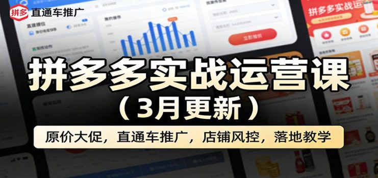 拼多多实战运营课（3月更新）：原价大促，直通车推广，店铺风控，落地教学_生财有道创业网