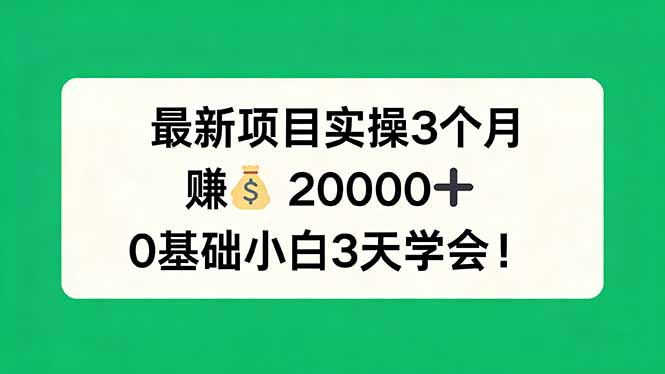 （17856期）最新项目实操3个月，赚钱20000+，0基础小白3天学会！_生财有道创业项目网