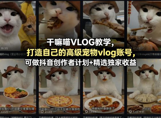 干嘛喵VLOG教学，打造自己的高级宠物vlog账号，可做抖音创作者计划+精选独家收益——生财有道创业项目网