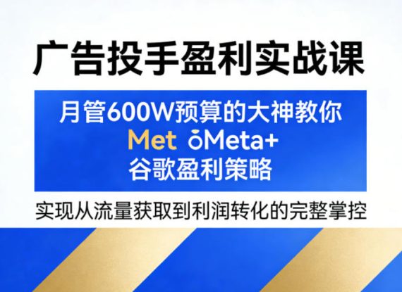 广告投手盈利实战课，月管600W预算的大神教你Meta+谷歌盈利策略，实现从流量获取到利润转化的完整掌控——生财有道创业项目网