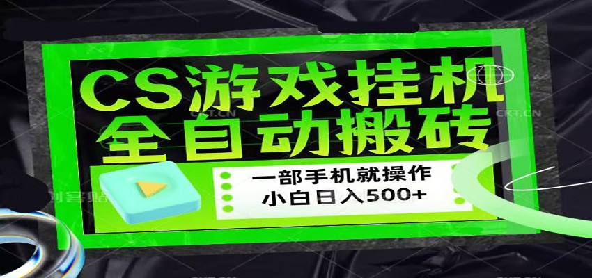 图片[1]-CSGO游戏挂机捡漏搬砖，超稳定的项目，带领1000+小白实现日入500+_生财有道创业网-生财有道