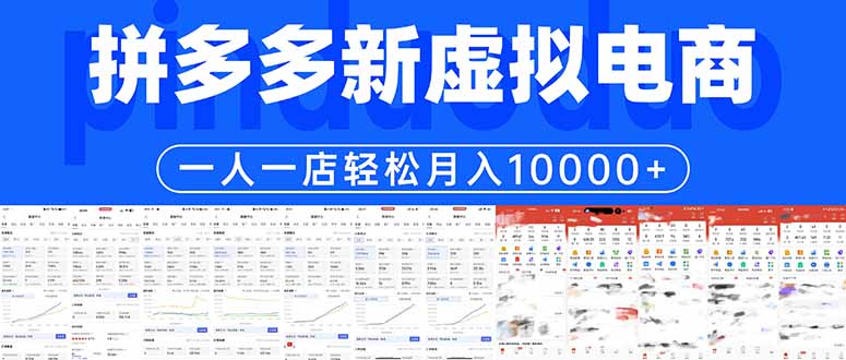图片[1]-（17978期）拼多多虚拟电商一人一店轻松月入10000+_生财有道创业项目网-生财有道