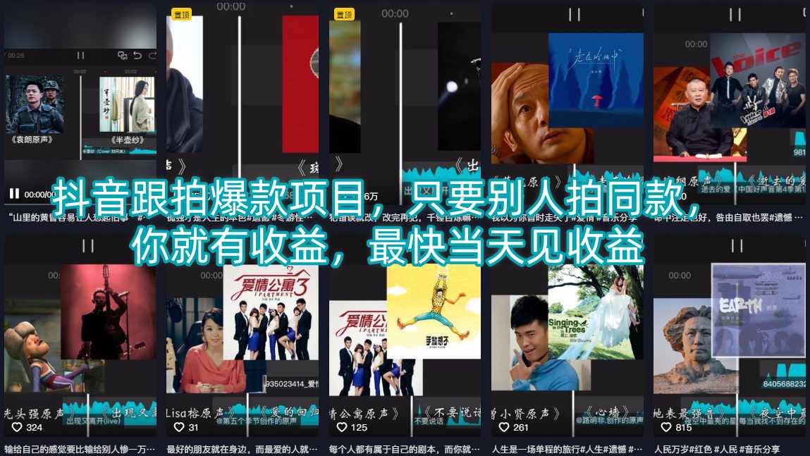 图片[1]-抖音跟拍爆款项目，只要别人拍同款，你就有收益，最快当天见收益——生财有道创业项目网-生财有道
