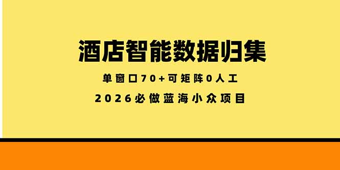 （18500期）酒店智能数据归集，小众蓝海已经稳定半年之久，单窗口70+零成本矩阵开干_生财有道创业项目网