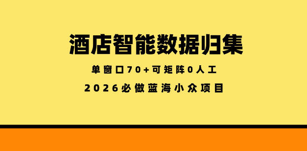 酒店智能数据归集，小众蓝海已经稳定半年之久，单窗口70+零成本矩阵开干【揭秘】——生财有道创业项目网