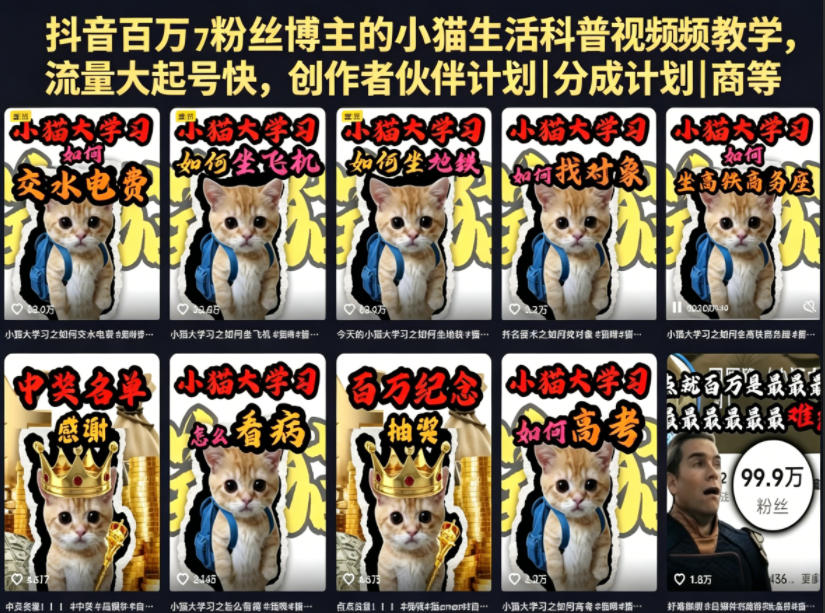 图片[1]-抖音百万粉丝博主的小猫生活科普视频教学，流量大起号快，创作者伙伴计划|分成计划|商单|收徒等——生财有道创业项目网-生财有道