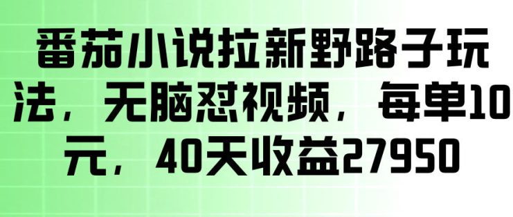 番茄小说拉新野路子玩法，无脑怼视频，玩法简单、见效快，每单10米，40天收益27950——生财有道创业项目网