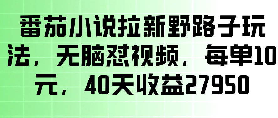 图片[1]-番茄小说拉新野路子玩法，无脑怼视频，玩法简单、见效快，每单10米，40天收益27950——生财有道创业项目网-生财有道